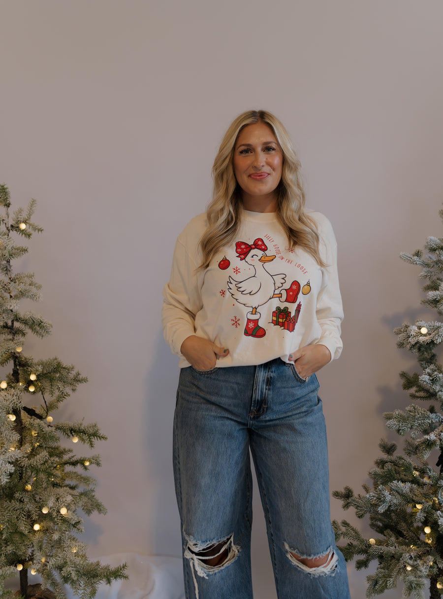 Silly Goose Holiday Graphic