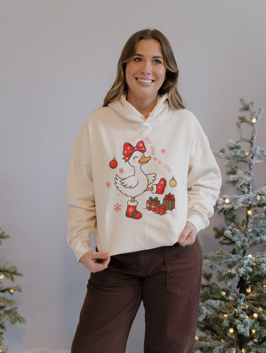 Silly Goose Holiday Graphic